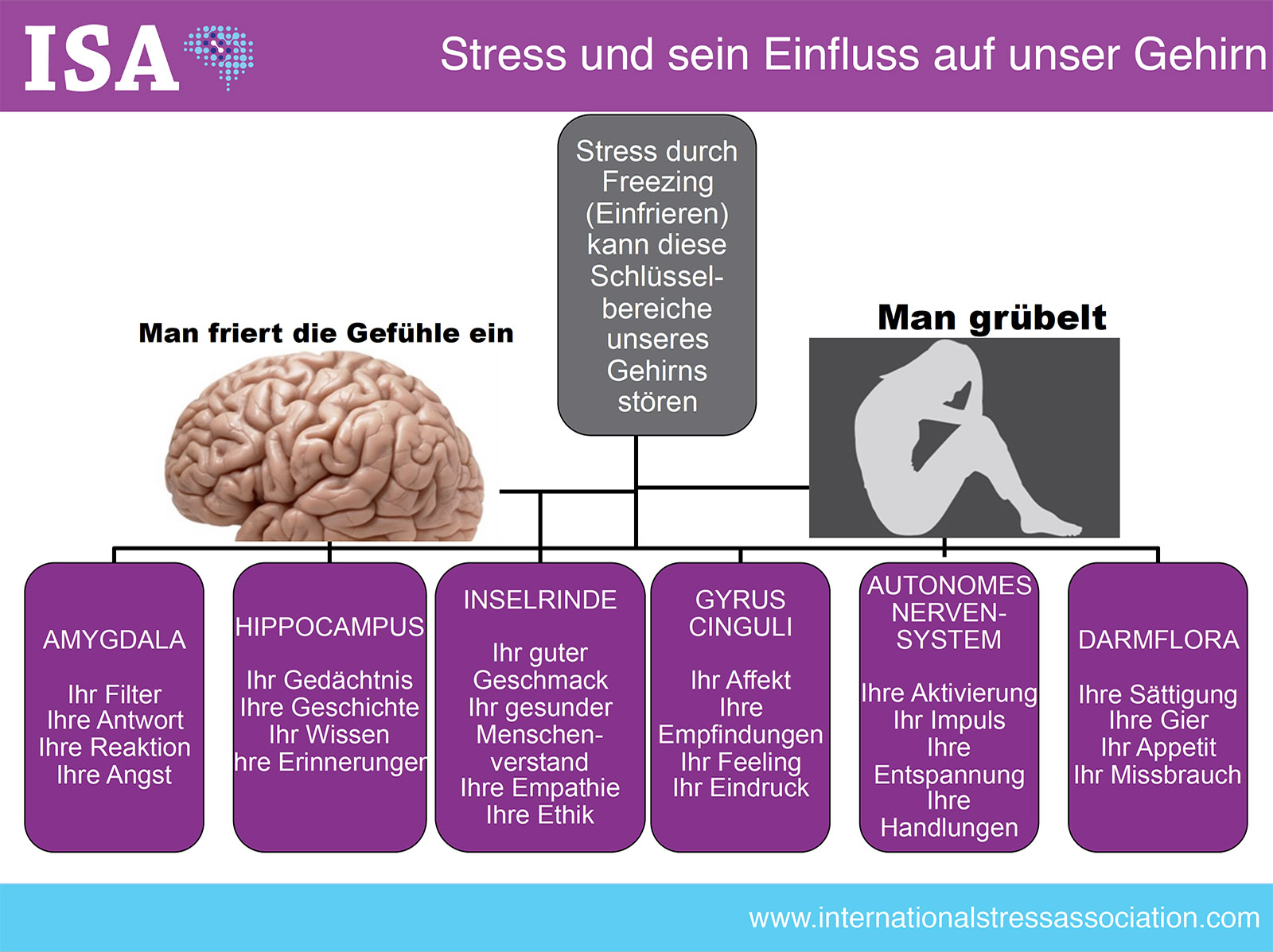 Gestion du stress