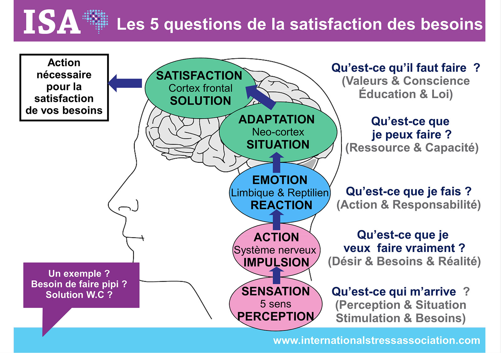 Gestion des émotions